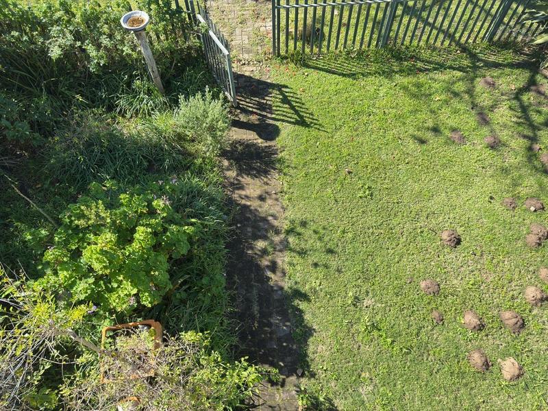 To Let 3 Bedroom Property for Rent in Port Alfred Eastern Cape